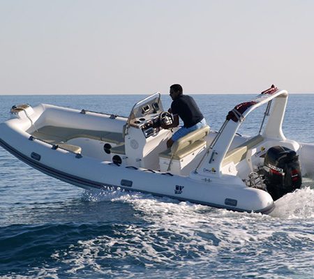 Tiger Marine dealer | Wessels Watersport